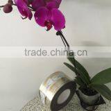 Low Price and High Quality Transparent Material Wine Labels Printing Adhesive Rolling Stickers