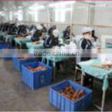 Jieyang Defa Industry Co., Ltd. company overview - view 2 thumbnail