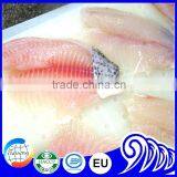 Bulk Tilapia Fillet With High Quality thumbnail-4