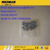 SDLG Orginal Grease Nipple, 4030000065, Sdlg Wheel Loader Parts for SDLG Wheel Loader LG936L thumbnail-1