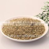 Good quality Rosemary(Midiexiang) supplier