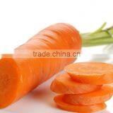 Linong Seed Seeds Agricultural Products for Service thumbnail-1