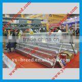 A Type Factory Chicken Feeding Cage System