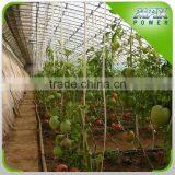 Greenhouse Thermal Keep Warm Blanket thumbnail-2