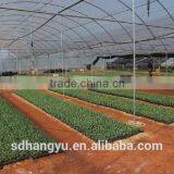 Agriculture Greenhouse Hydroponic System Plastic Sheet thumbnail-5