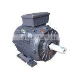 IE2 Standard Synchronous Speed Cast Iron Three Phase Electric Motor thumbnail-1