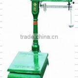 Weighing Scale With Platform Food Apparatus