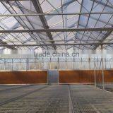 Tempered Glass Greenhouse/Hydroponics Greenhouse/Commercial Greenhouse thumbnail-4