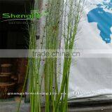 SJLJ013166 Artificial Plant / Fake Plastic Bamboo / Plastic Garden Fence for Home Garden Decoration thumbnail-4