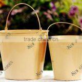One Color Coated Metal Bucket for Garden thumbnail-1