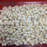 Frozen Fresh and no Chemical Treated Scallop Meat thumbnail-3