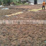 Sell Gracilaria, Eucheuma Spinosum And Eucheuma Cottoni Seaweeds thumbnail-6