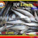 IQF LAYANG SCAD WHOLE ROUND thumbnail-3