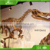 KAWAH Fiberglass Aniaml Replica Skull Popular Resin Life-size Skeleton Dinosaur Model For Sale thumbnail-2
