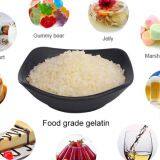 Gelatin/gelatin for Match Head/match Gelatin thumbnail-1