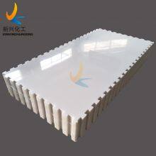 Self-lubrication Affordable UHMWPE Skating Rink Floor Tiles thumbnail-4