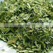 Natural Dried Moringa Leaf/Best Selling Vietnam Moringa Leaf Powder Natural Moringa Leave Made in Vietnam thumbnail-3