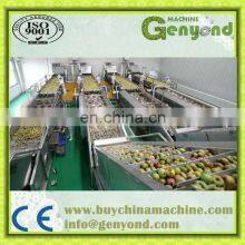 Top Quality Apple Juice Process Plant / Apple Juice Extracting Press thumbnail-2