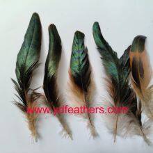 Half-Bronze Rooster/Coque/Cock Tail Feather from China