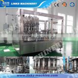 Complete bottle juice filling equipment with low price