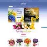 Web Application Development thumbnail-3