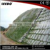 Europe Import pp Material Made Geo Bag thumbnail-2