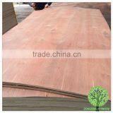 Plb Veneer Plywood Commercial Plywood for Construction Building Material thumbnail-2