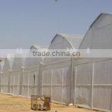 Plastic Film Greenhouse thumbnail-1