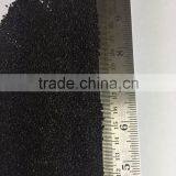 Basil Seed thumbnail-1