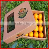 Fashion High Quality Special Corrugated Paper Fruit Gift packaging storage Box