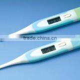 Digital Thermometer