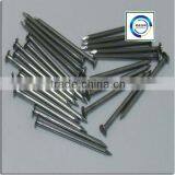 Galvanized Or Polished Common Iron Nails(factory)