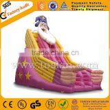 Super Quality Inflatable Slides for Outdoor A4049