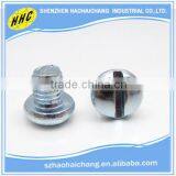 China Manufacturer Nonstandard Threaded Slotted Phillips Screw thumbnail-4