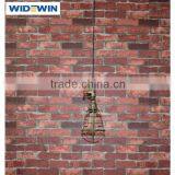 Colorful Edison Bulb Industrial Vintage Cage Pendant Light in Bronze thumbnail-6