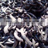 Buffalo/ox /cow Raw Horn for Decoration Manufacturing India thumbnail-3