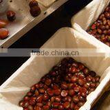 2015 New Crop Fresh Chesnuts