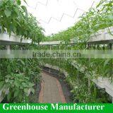 Hydroponics System /vertical Aquaponics Setup thumbnail-2