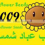 sunflower 5009