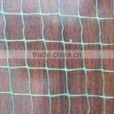 Plant Climbing Support Netting Plastic Netting&reinforced Plastic Wire Mesh thumbnail-4