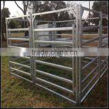 Corral Fence Panel With Round Pipe in China Used for Sheep / Goat thumbnail-2
