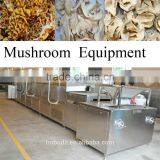 mushroom belt drying machine