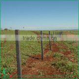 Living Wall Support Stake thumbnail-2