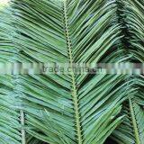 SJZZY Outdoor Decorative Plastic Artificial Palm Tree Leaves thumbnail-3
