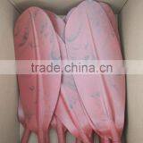 New Style Dual Color Blade Kayak Paddle thumbnail-2