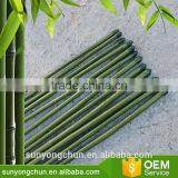 Cheap Agriculture PVC Coated Pole and Color Bamboo Cane