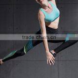 OEM Sexy Slim Mesh Dry Compression Sports Pants Wholesale Women Yoga Pants thumbnail-4