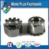 Made in Taiwan Black Oxide Plated Steel Stainless Steel Zinc Finish Steel Keps K Lock Nut thumbnail-1