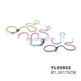 Nylon Leash & Slip Collar thumbnail-5