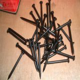 large head galvanized Umbrella Roofing Nails/Concrete Nails/common nail made in china